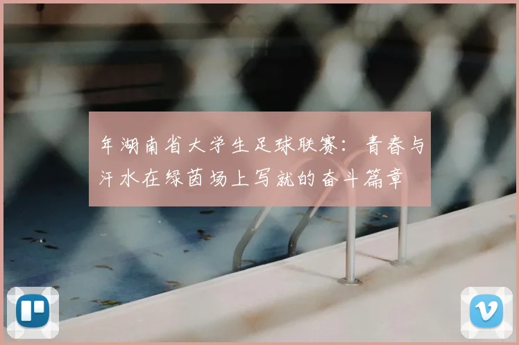 年湖南省大学生足球联赛:青春与汗水在绿茵场上写就的奋斗篇章