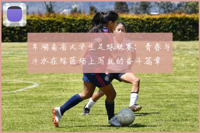 年湖南省大学生足球联赛：青春与汗水在绿茵场上写就的奋斗篇章
